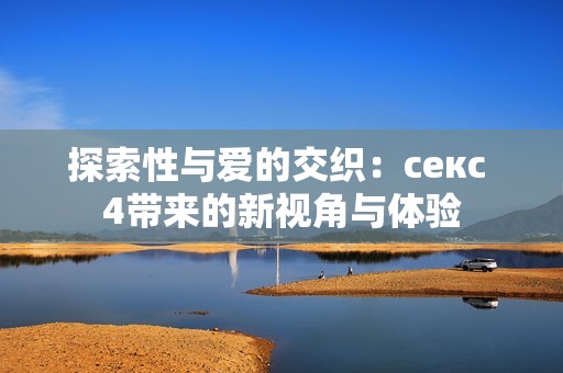 探索性与爱的交织：секс 4带来的新视角与体验