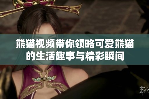 熊猫视频带你领略可爱熊猫的生活趣事与精彩瞬间