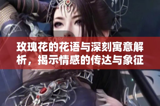 玫瑰花的花语与深刻寓意解析，揭示情感的传达与象征