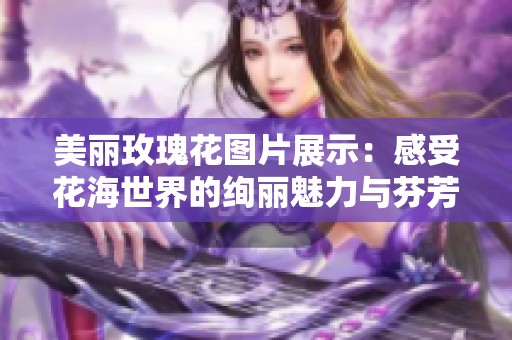 美丽玫瑰花图片展示：感受花海世界的绚丽魅力与芬芳