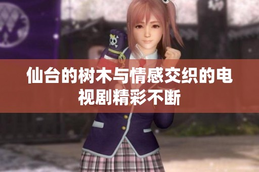 仙台的树木与情感交织的电视剧精彩不断
