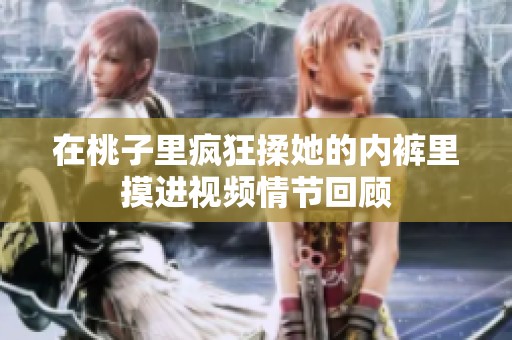 在桃子里疯狂揉她的内裤里摸进视频情节回顾