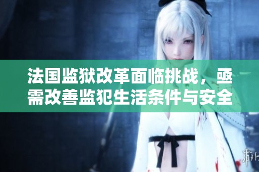 法国监狱改革面临挑战，亟需改善监犯生活条件与安全管理