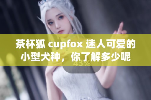 茶杯狐 cupfox 迷人可爱的小型犬种，你了解多少呢