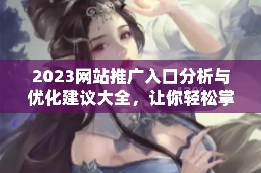 2023网站推广入口分析与优化建议大全，让你轻松掌握流量增长技巧