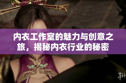 内衣工作室的魅力与创意之旅，揭秘内衣行业的秘密
