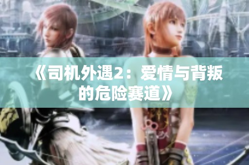 《司机外遇2：爱情与背叛的危险赛道》