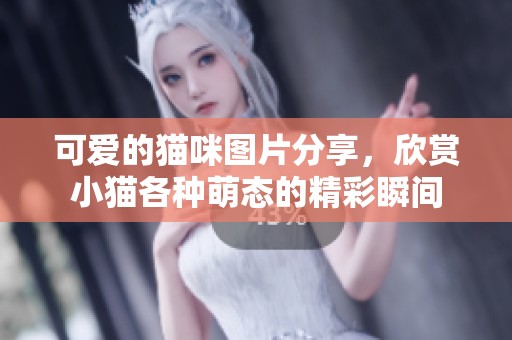可爱的猫咪图片分享，欣赏小猫各种萌态的精彩瞬间