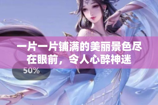 一片一片铺满的美丽景色尽在眼前，令人心醉神迷