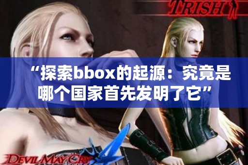 “探索bbox的起源：究竟是哪个国家首先发明了它”