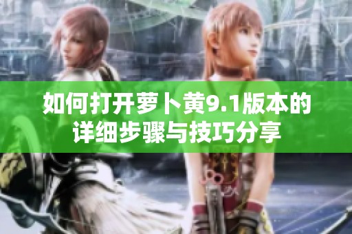 如何打开萝卜黄9.1版本的详细步骤与技巧分享