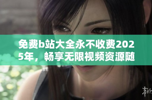 免费b站大全永不收费2025年，畅享无限视频资源随心观看