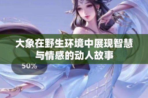 大象在野生环境中展现智慧与情感的动人故事