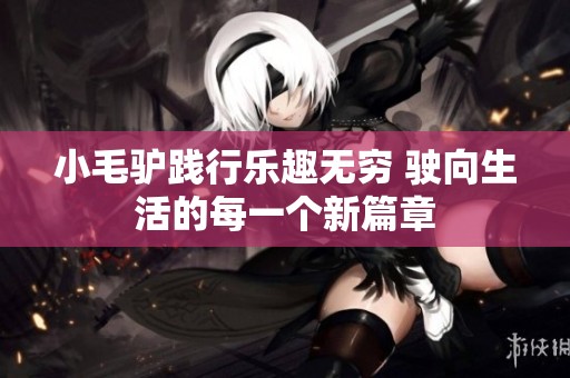 小毛驴践行乐趣无穷 驶向生活的每一个新篇章