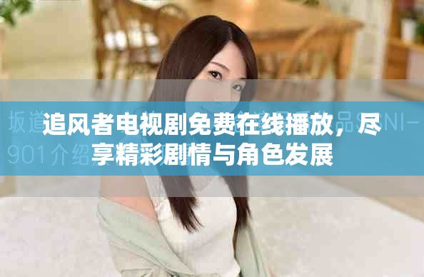 追风者电视剧免费在线播放，尽享精彩剧情与角色发展