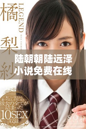 陆朝朝陆远泽小说免费在线阅读，探寻纷繁复杂的情感世界