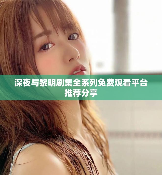 深夜与黎明剧集全系列免费观看平台推荐分享