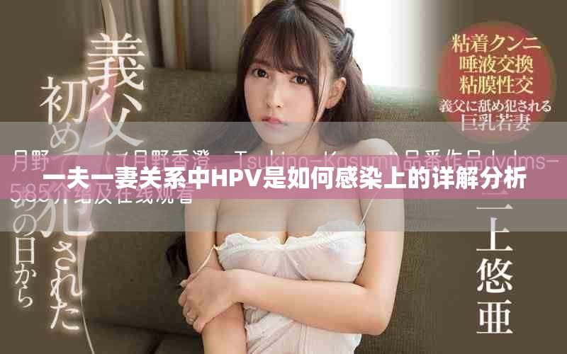 一夫一妻关系中HPV是如何感染上的详解分析