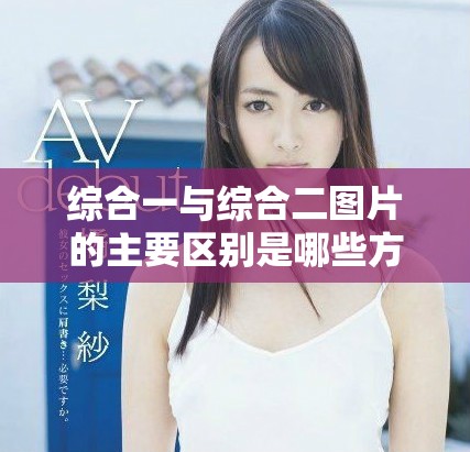综合一与综合二图片的主要区别是哪些方面呢