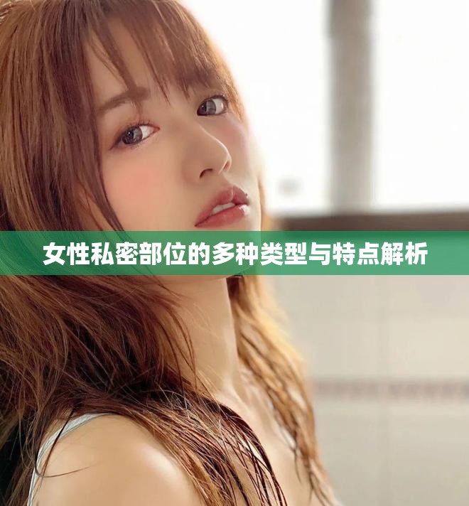 女性私密部位的多种类型与特点解析