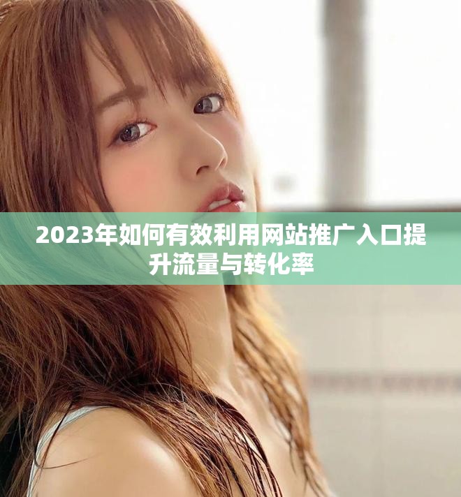 2023年如何有效利用网站推广入口提升流量与转化率