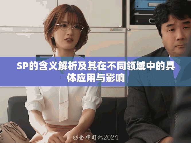 SP的含义解析及其在不同领域中的具体应用与影响