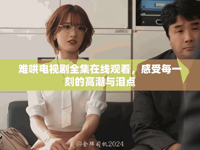 难哄电视剧全集在线观看，感受每一刻的高潮与泪点
