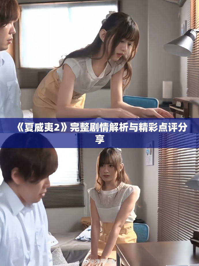 《夏威夷2》完整剧情解析与精彩点评分享