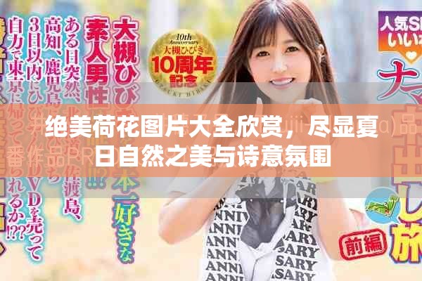 绝美荷花图片大全欣赏，尽显夏日自然之美与诗意氛围