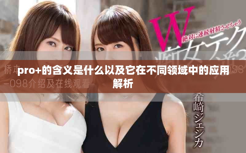 pro+的含义是什么以及它在不同领域中的应用解析