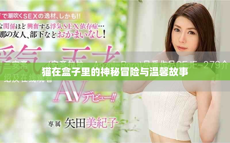 猫在盒子里的神秘冒险与温馨故事