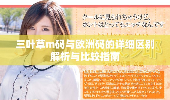 三叶草m码与欧洲码的详细区别解析与比较指南