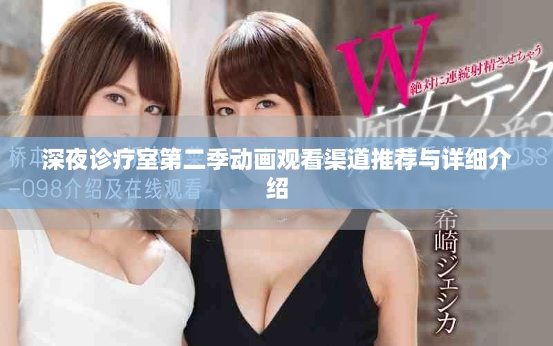 深夜诊疗室第二季动画观看渠道推荐与详细介绍