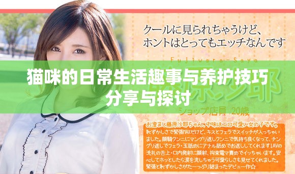 猫咪的日常生活趣事与养护技巧分享与探讨