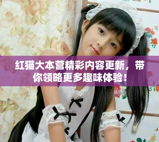 红猫大本营精彩内容更新，带你领略更多趣味体验！