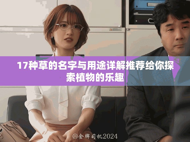 17种草的名字与用途详解推荐给你探索植物的乐趣