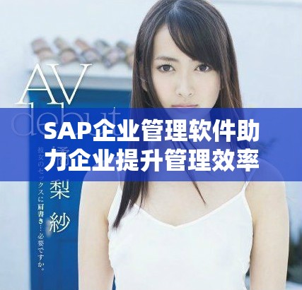 SAP企业管理软件助力企业提升管理效率与决策能力