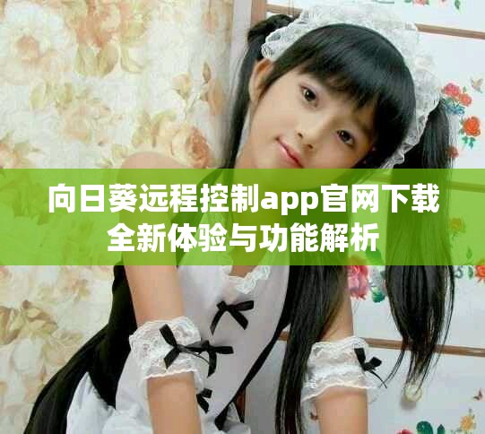 向日葵远程控制app官网下载全新体验与功能解析