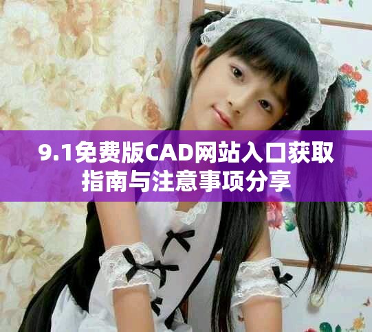 9.1免费版CAD网站入口获取指南与注意事项分享