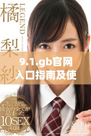 9.1.gb官网入口指南及使用技巧详解
