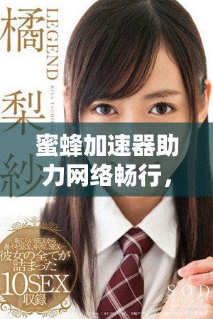 蜜蜂加速器助力网络畅行，提升用户体验全新选择
