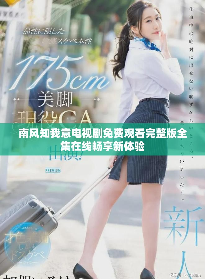 南风知我意电视剧免费观看完整版全集在线畅享新体验