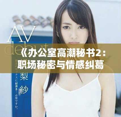 《办公室高潮秘书2：职场秘密与情感纠葛的双重奏》