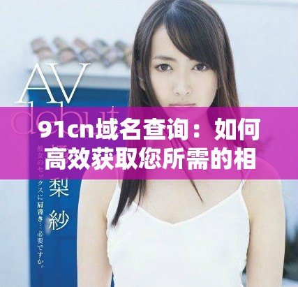 91cn域名查询：如何高效获取您所需的相关信息