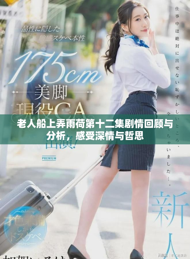 老人船上弄雨荷第十二集剧情回顾与分析，感受深情与哲思