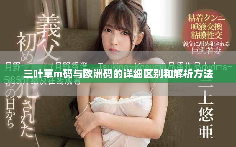 三叶草m码与欧洲码的详细区别和解析方法