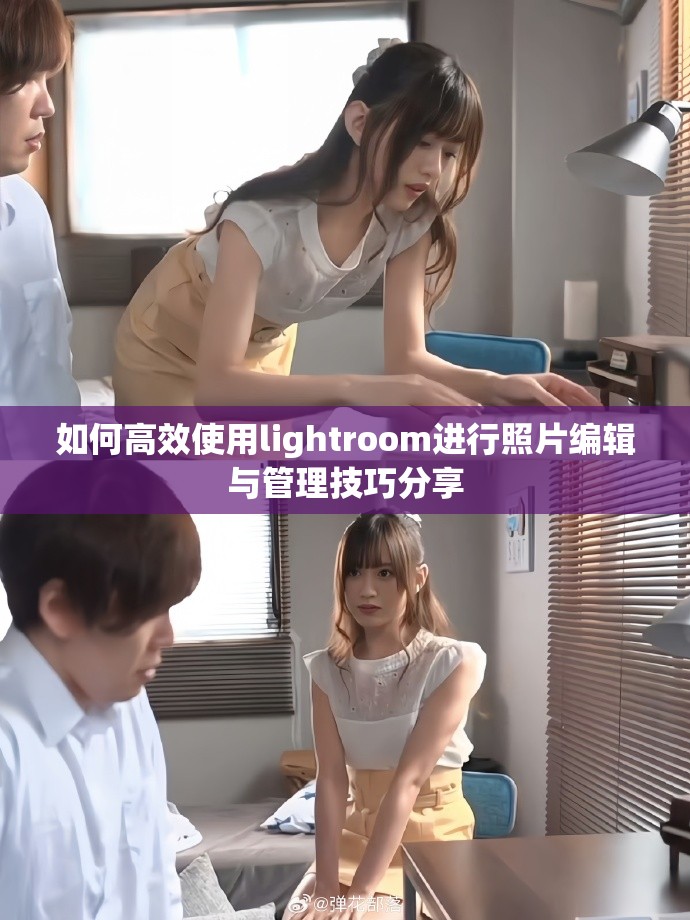 如何高效使用lightroom进行照片编辑与管理技巧分享