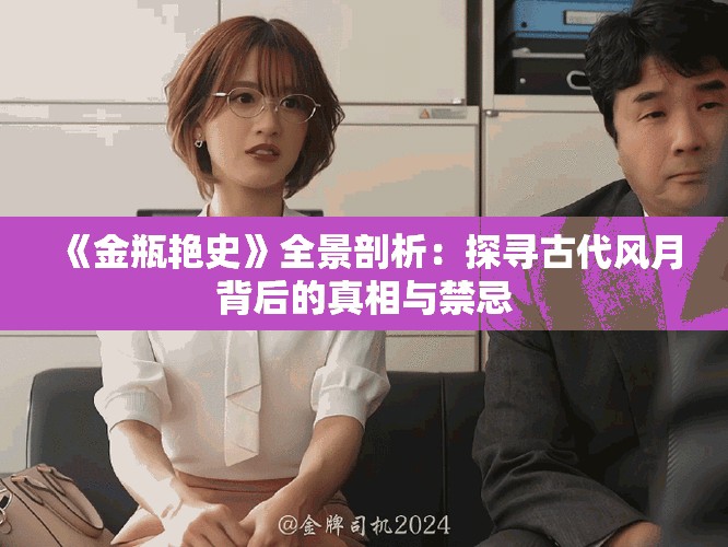 《金瓶艳史》全景剖析：探寻古代风月背后的真相与禁忌