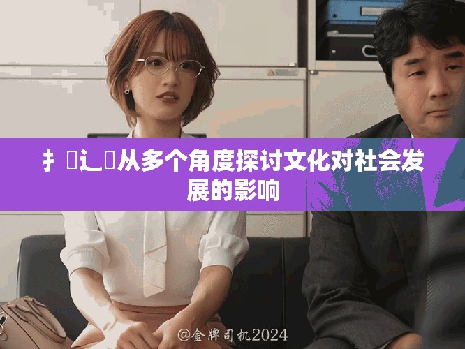 扌喿辶畐从多个角度探讨文化对社会发展的影响