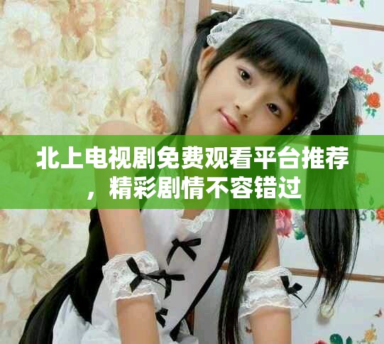 北上电视剧免费观看平台推荐，精彩剧情不容错过